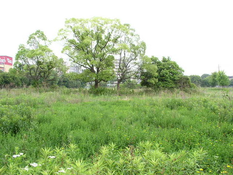 P5220003