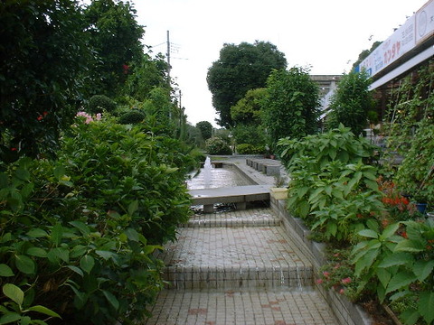komorebi02