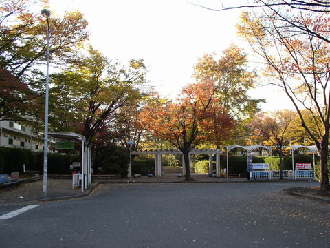 PB230028
