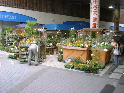 DSCF0007