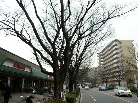 P2290019