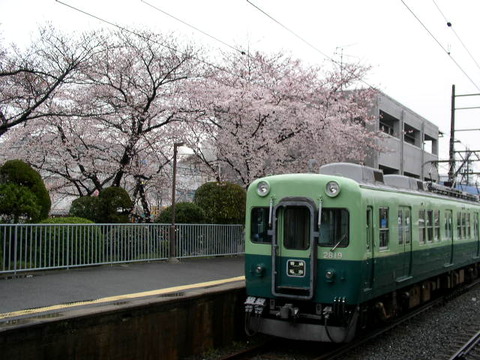 P4050006