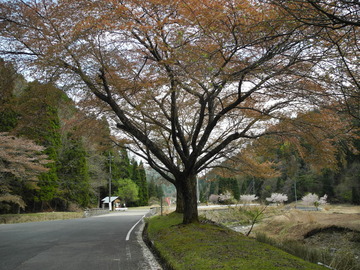DSCN3986