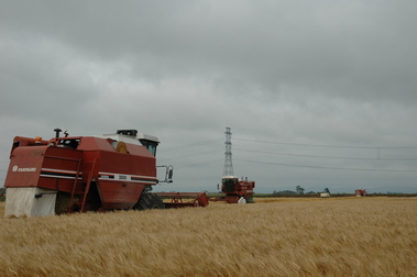 DSC_0134.JPG