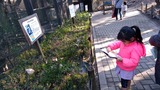 IMG_20170122_140449