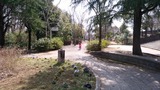 IMG_20170312_113139