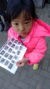 IMG_20170122_150842