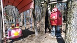 20170303_125117