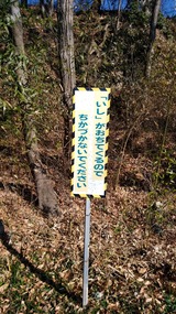 IMG_20170103_124109