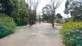 IMG_20170312_113148