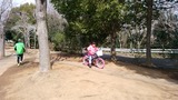 IMG_20170312_113337