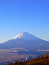 NEC_0509-1