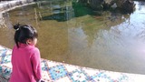 IMG_20170102_095954