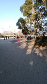 IMG_20170122_151056