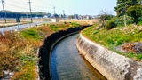 20170319_111918