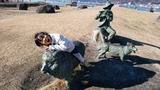 IMG_20170102_135953