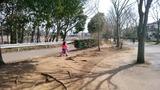 IMG_20170312_113346