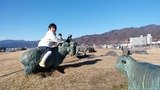 IMG_20170102_135838