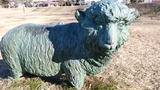 IMG_20170102_135909