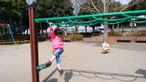 IMG_20170312_115203