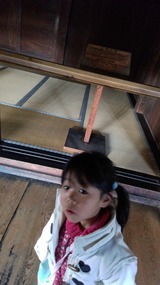 IMG_20170101_145416