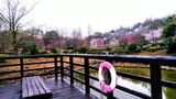 20170408_131303