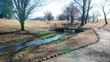IMG_20170103_122005