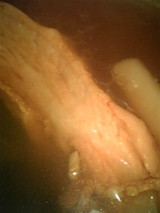 8f29f9d2.jpg