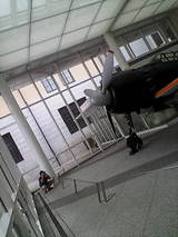 975f01bb.jpg