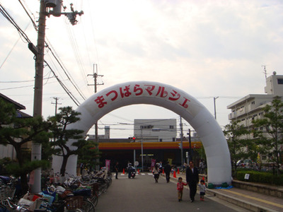 DSC01548