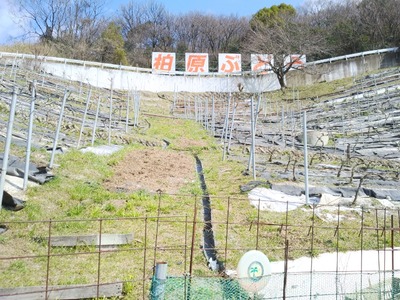 20170317 (1)