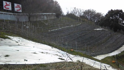 120115_1038131