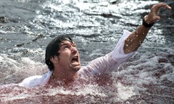 PIRANHA3D8