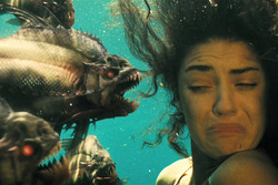 PIRANHA3D3