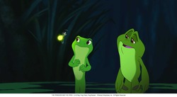 frogs4