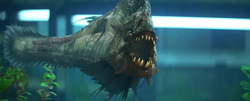 PIRANHA3D2