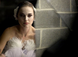 black_swan9