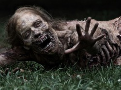 Walking-Dead-13