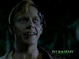 pet4