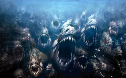 PIRANHA3D7