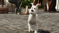 tintin4