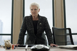 skyfall10