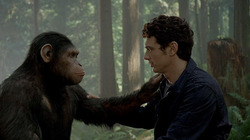 apes6
