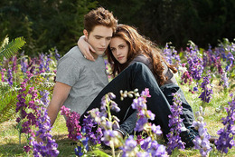 breaking_dawn26