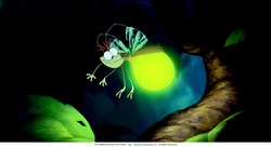 frogs7