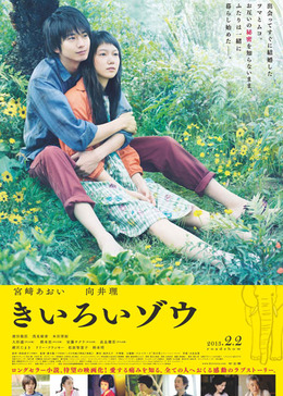 kiiroizou1