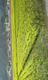 f466c74f.JPG