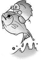 いのしし