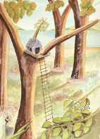DM(treehouse)