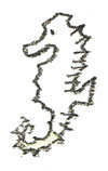 tatsunootoshigo